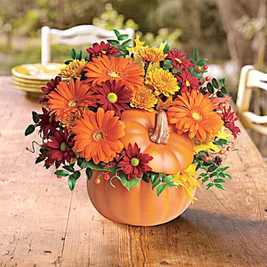 Country Pumpkin #T175-1B